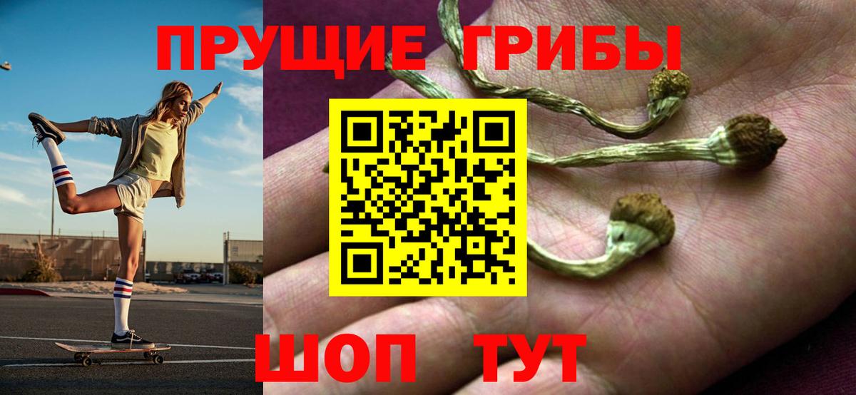 Псилоцибиновые грибы Psilocybine cubensis Людиново